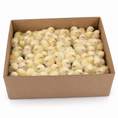 Load image into Gallery viewer, DAY OLD WHITE LEGHORNS
