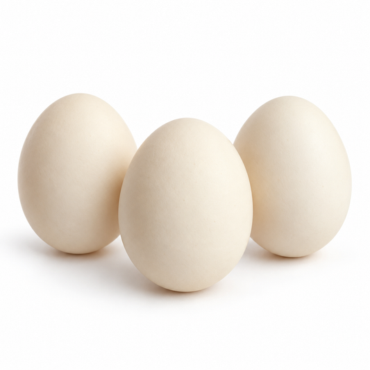 JUMBO EGGS (FREE RANGE)