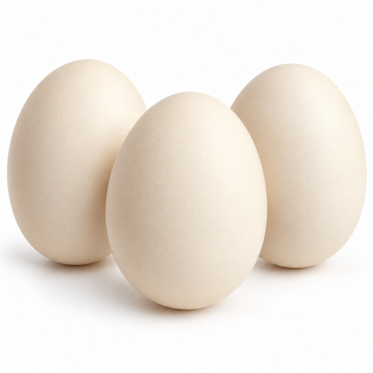 DOUBLE YOLK EGGS (FREE RANGE)