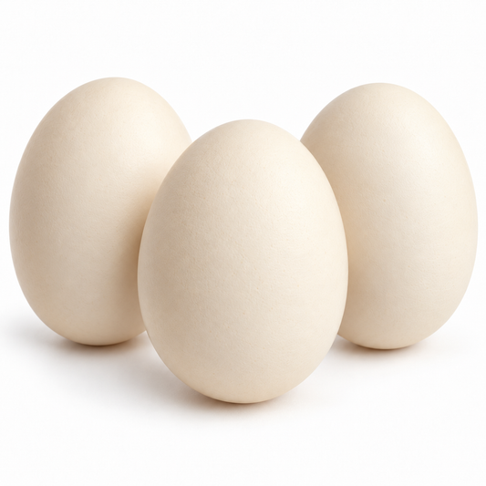 DOUBLE YOLK EGGS (FREE RANGE)