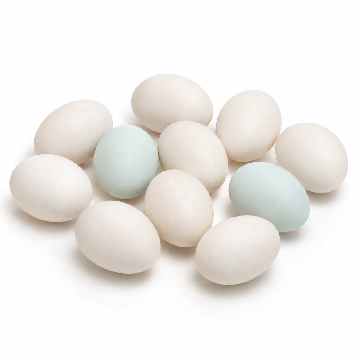 PEKIN DUCK FERTILE EGGS
