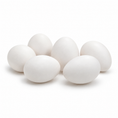 Load image into Gallery viewer, 10 WEEKS OF AGE WHITE LEGHORNS
